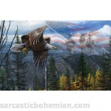SunsOut May Freedom Fly Forever USA Bald Eagle Puzzle 550 pc Jigsaw Puzzle  B00EJVBIPW